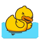 duckyswimq