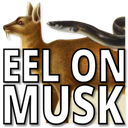 eelonmuskq