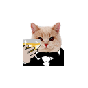 fancy_cat