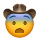 fearful_cowboy