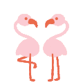 flamingo_love