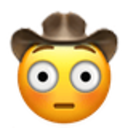flushed_cowboy