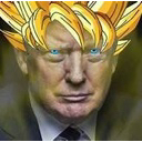 goku_trumpq