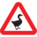 goose warning
