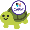 he brings you capm certification