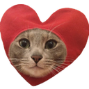 heartcatq