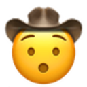 hushed_cowboy