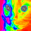 hypnocatq
