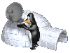 igloo_penguin