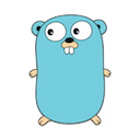 lang golang