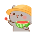 melonkittyq