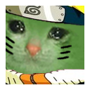 naruto_catq