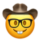 nerdy_cowboy