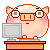 office_pig