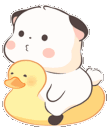 panda_duckyq