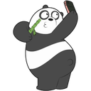 pandabearq