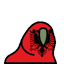 parrot albania