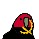 parrot angola