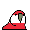 parrot austria