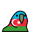 parrot azerbaijan