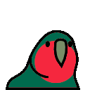 parrot bangladesh