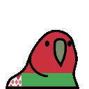 parrot belarus