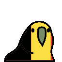 parrot belgium