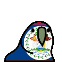 parrot belize