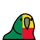 parrot benin