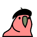 parrot beret