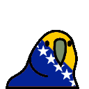 parrot bosniaandherzegovina