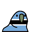 parrot botswana