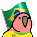 parrot brazilian fan