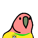 parrot brazilian player