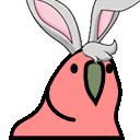 parrot bunny