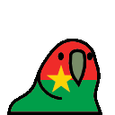 parrot burkinafaso