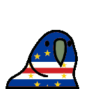 parrot capeverde