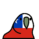 parrot chile