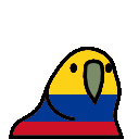 parrot colombia