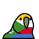 parrot comoros