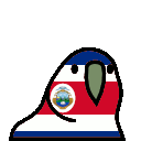 parrot costarica