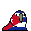 parrot cuba