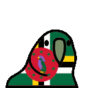 parrot dominica