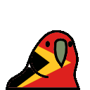 parrot easttimor