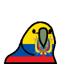 parrot ecuador