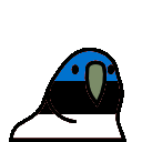 parrot estonia
