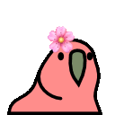 parrot flower
