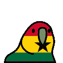 parrot ghana