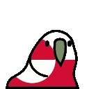 parrot greenland