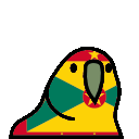 parrot grenada